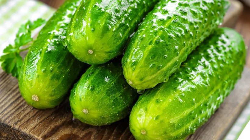 How to store cucumbers for the winter