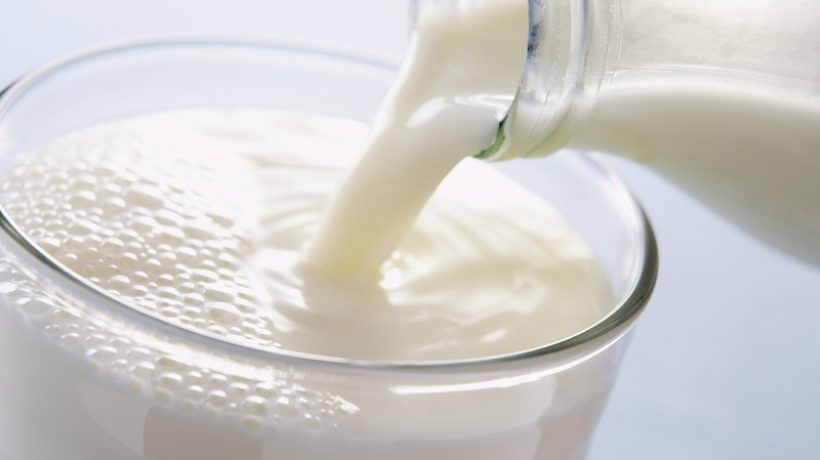 Donkey milk soap: surprising milk at the service of cosmetics