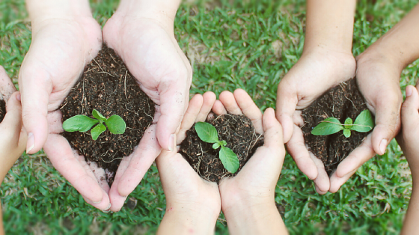 How to Convince Others to Care for the Environment