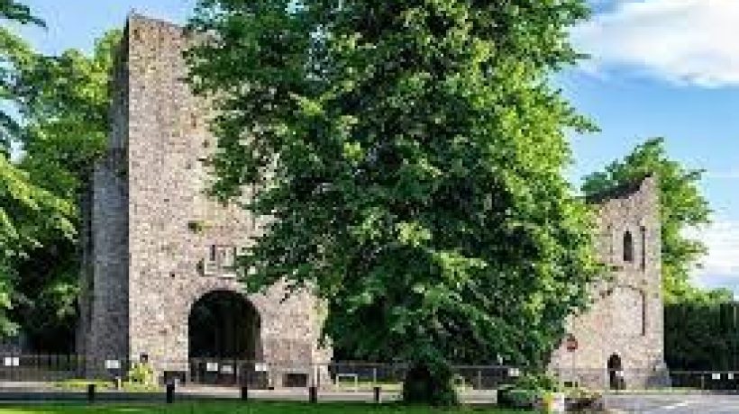 Three Places to Enjoy a Walk in Maynooth