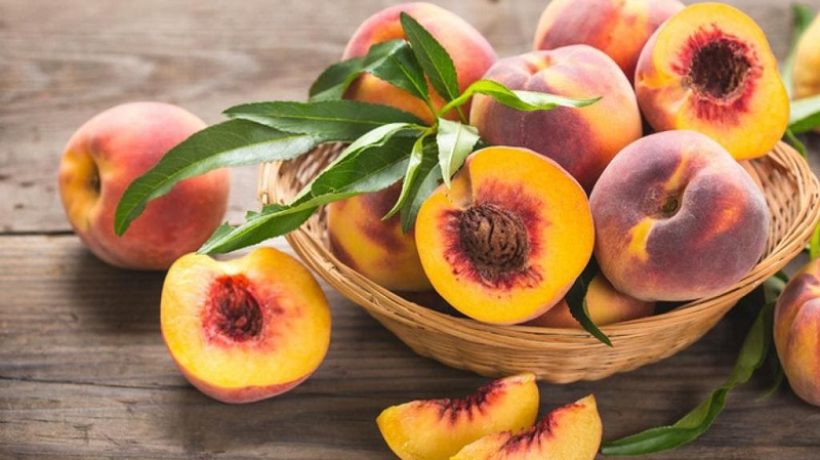 Can Dogs Eat Peaches?