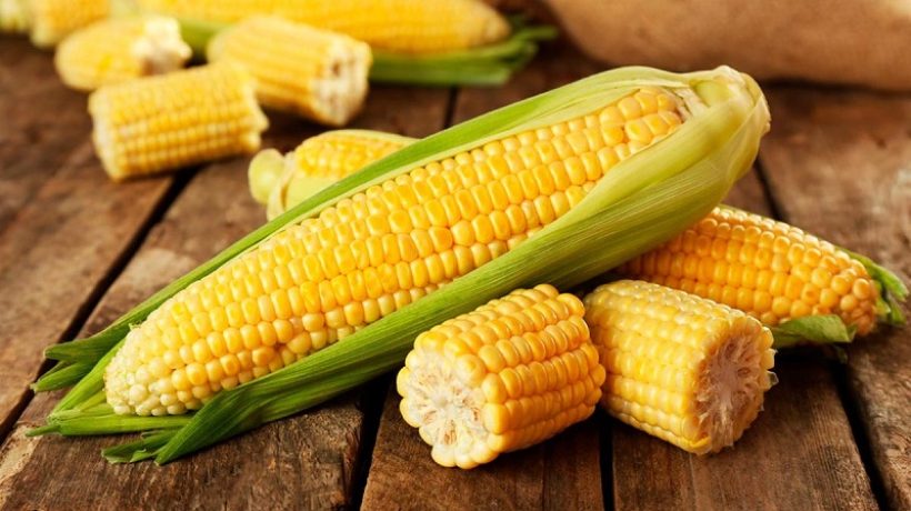 Does corn have gluten?