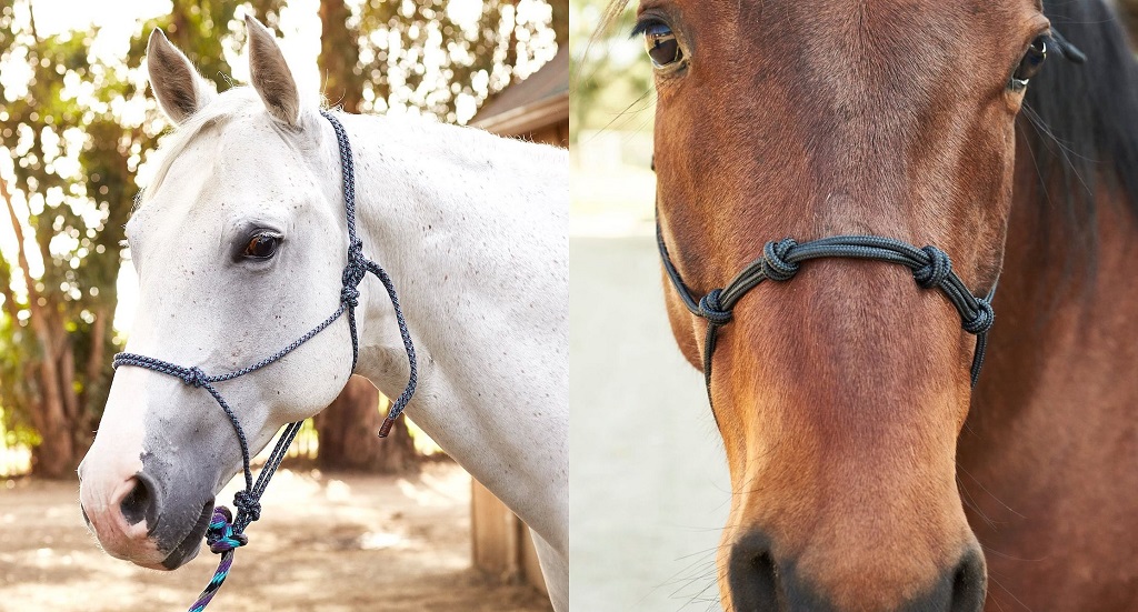 How to Tie a Rope Halter
