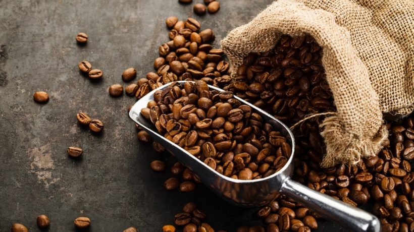 Does Coffee Go Bad? Tips For Keeping Your Coffee Beans Fresh