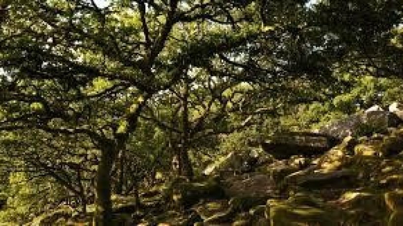 Fun Activities for the End of Summer in Devon