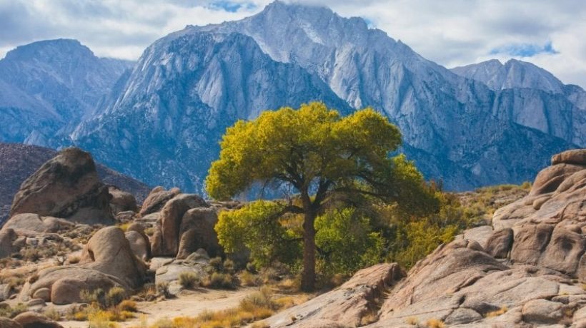 Fun Things to Do in the Yellowhammer State