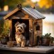 Best insulated dog house for winter