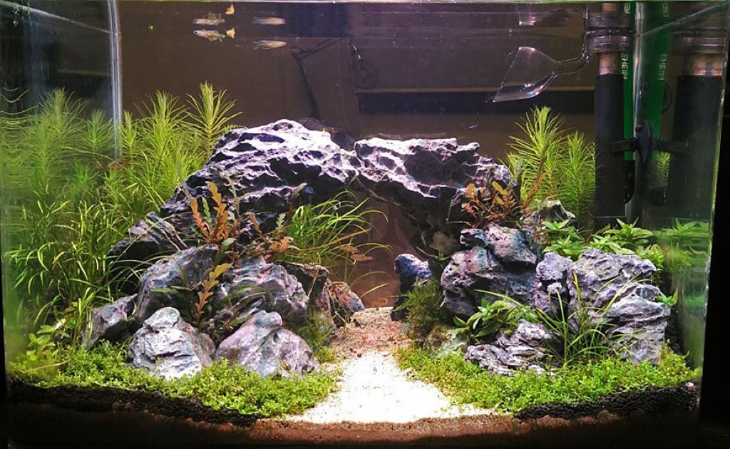 Planted Aquarium Substrate