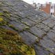 Does moss on roof shingles cause damage