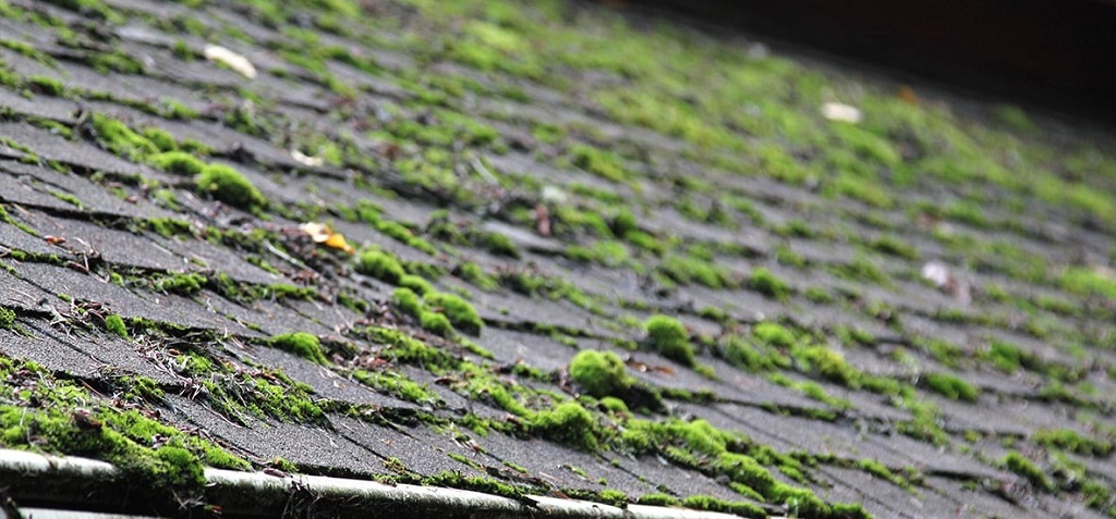 Does vinegar damage roof shingles