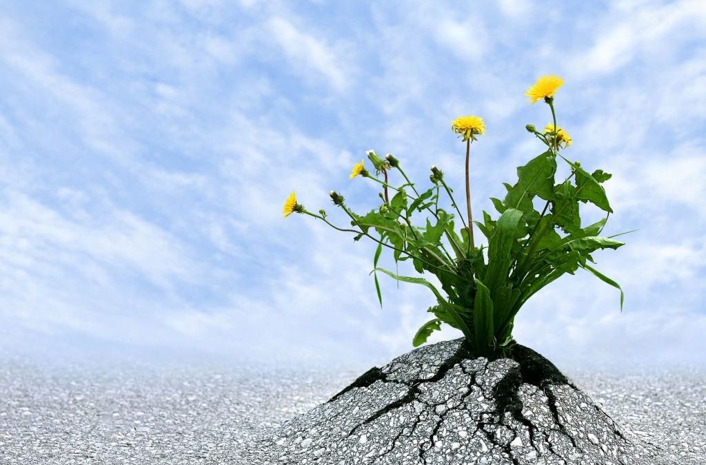 What is the role of positive thinking in building resilience