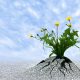 What is the role of positive thinking in building resilience