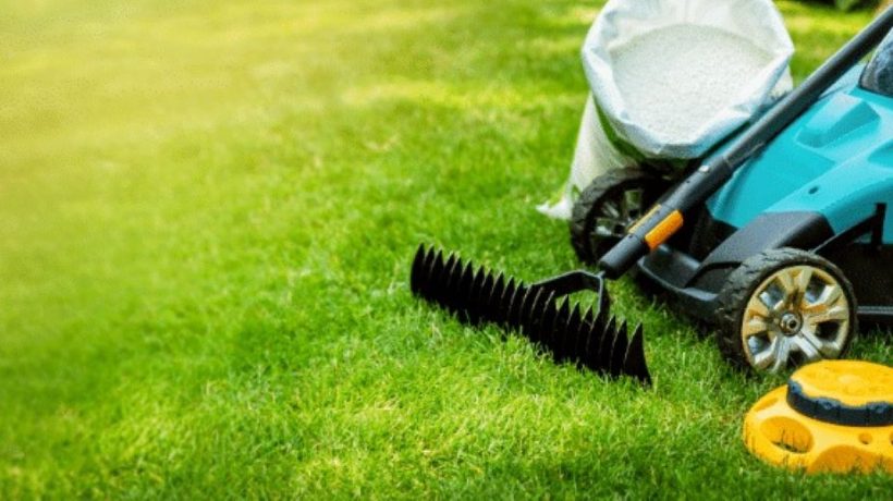 California Seasonal Lawn Care Calendar: Tips Year‑Round
