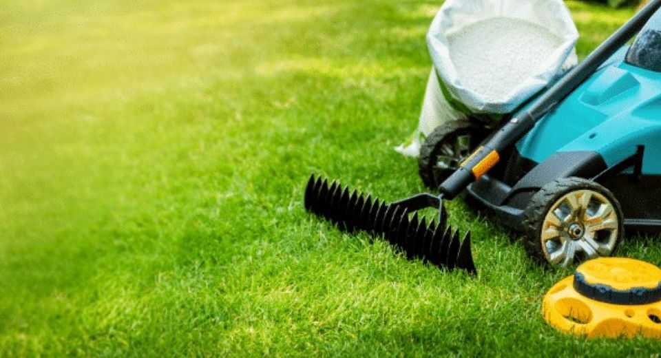 The Ultimate Lawn Care Calendar: What to Do Each Season