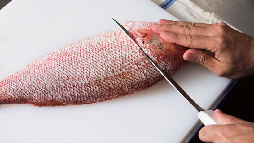 Fishing Gaffing 101: How to Do It Right Without Losing the Fish or a Finger