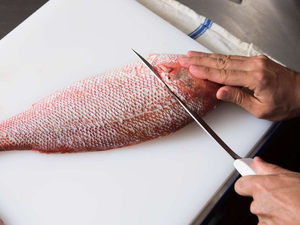 How to make a fish follow your finger