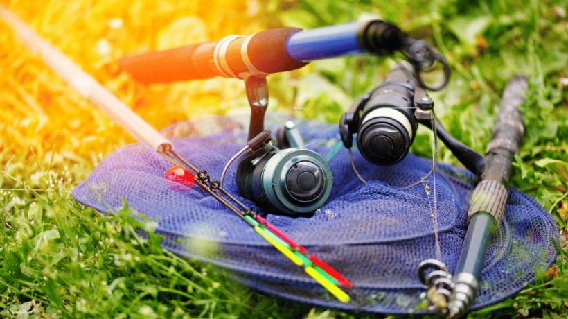 Expert Picks: Top Gear for Freshwater and Saltwater Fishing