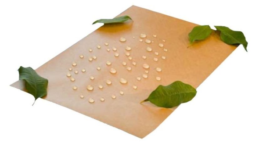 Cardboard Waterproofing Using Eco-Friendly Methods