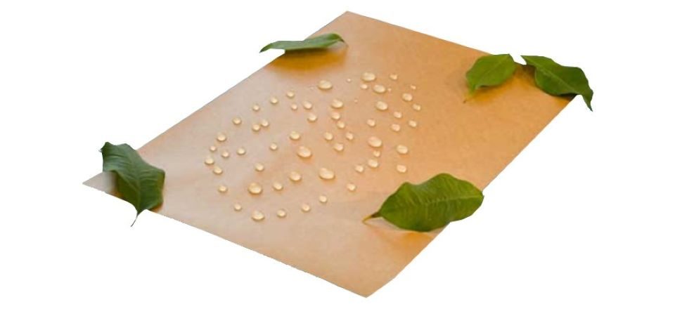 How to Make Waterproof Cardboard for Your DIY Projects