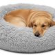 A fluffy gray donut bed cradling a curled-up anxious Golden Retriever, showcasing raised bolster edges for security