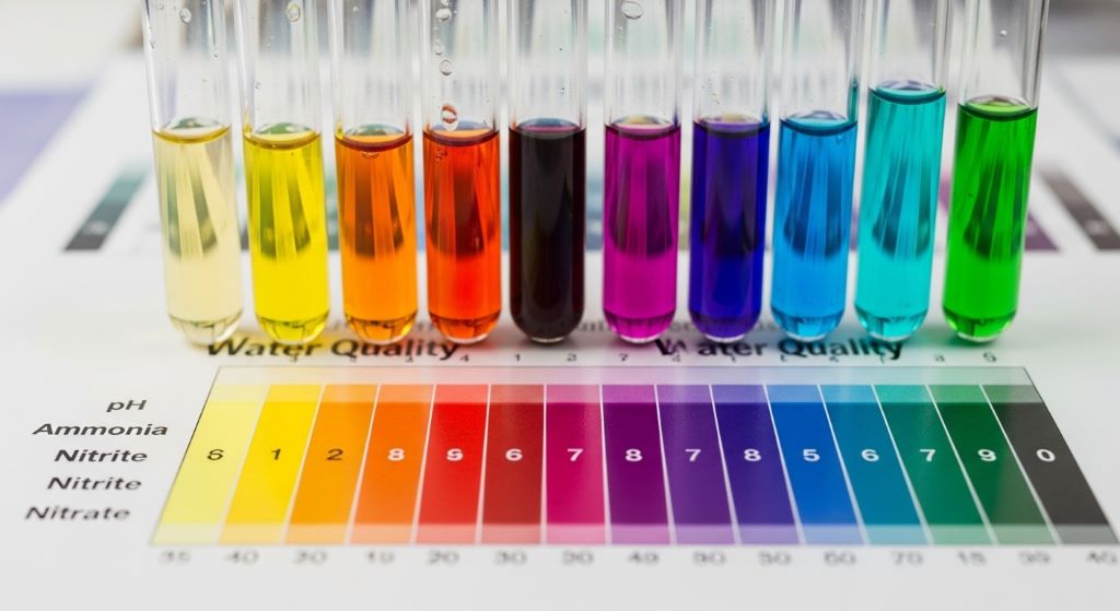 Colorful aquarium test kit tubes being compared against a water quality color chart