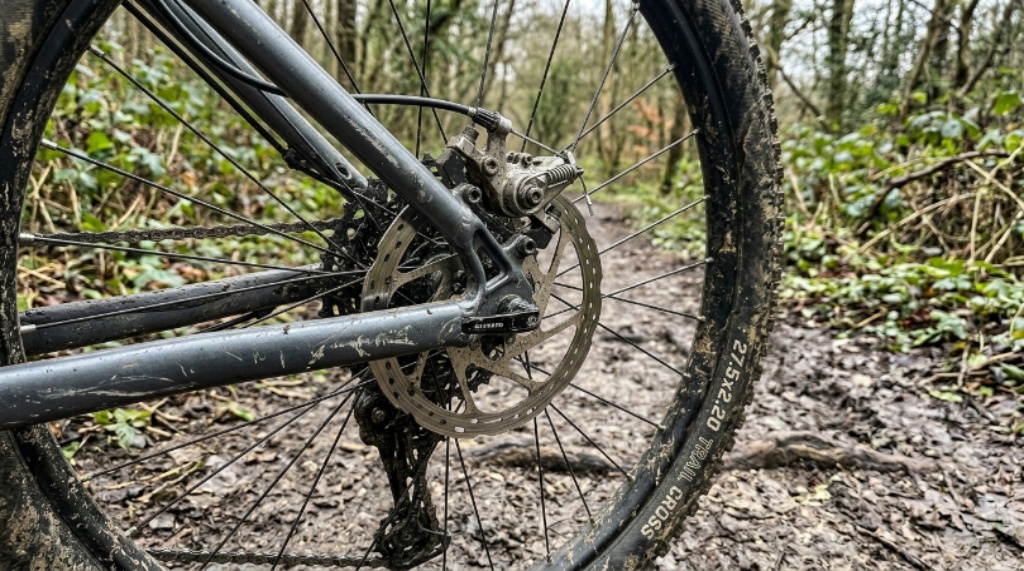 Close-up of a value bike's disc brake and knobby tire on a dirt path